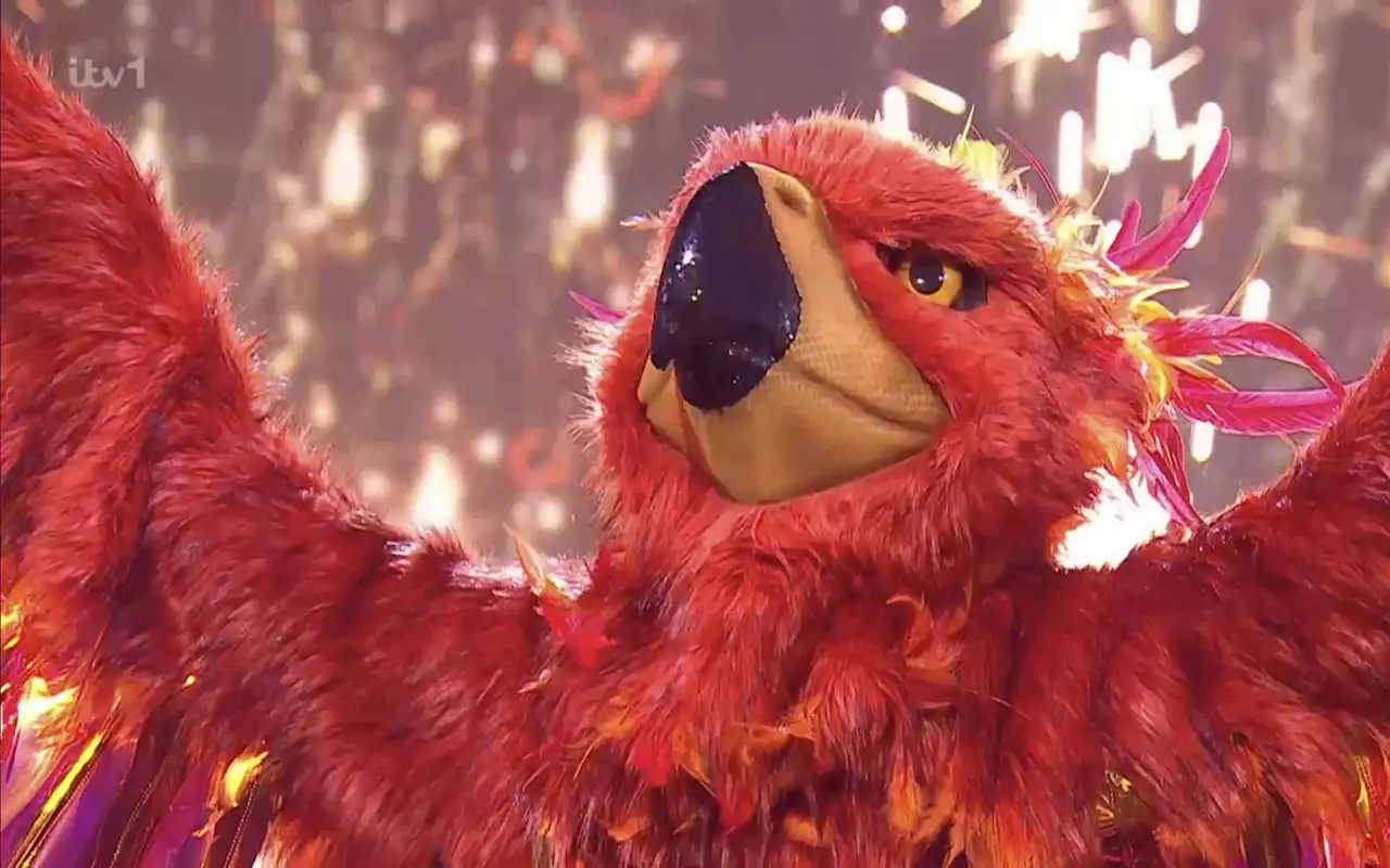 The Masked Singer unmasks Phoenix as The Voice star and famous musician in nailbiting series finale