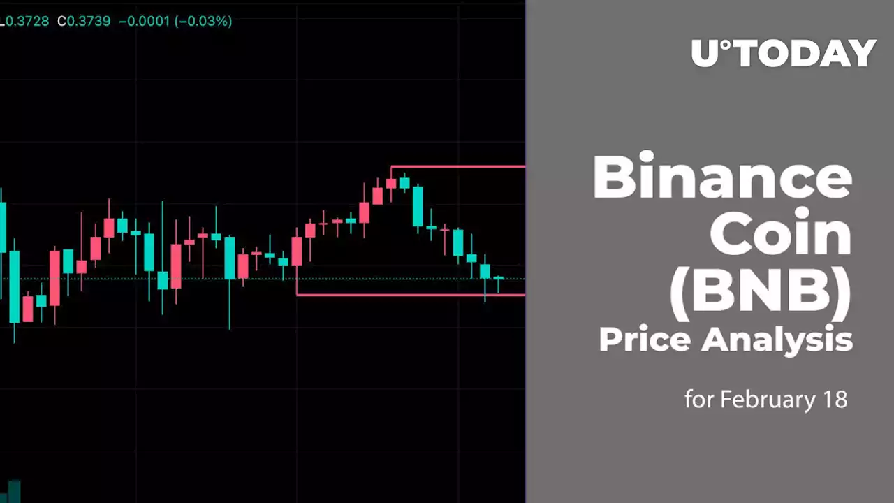 Binance Coin (BNB) Price Analysis for February 18