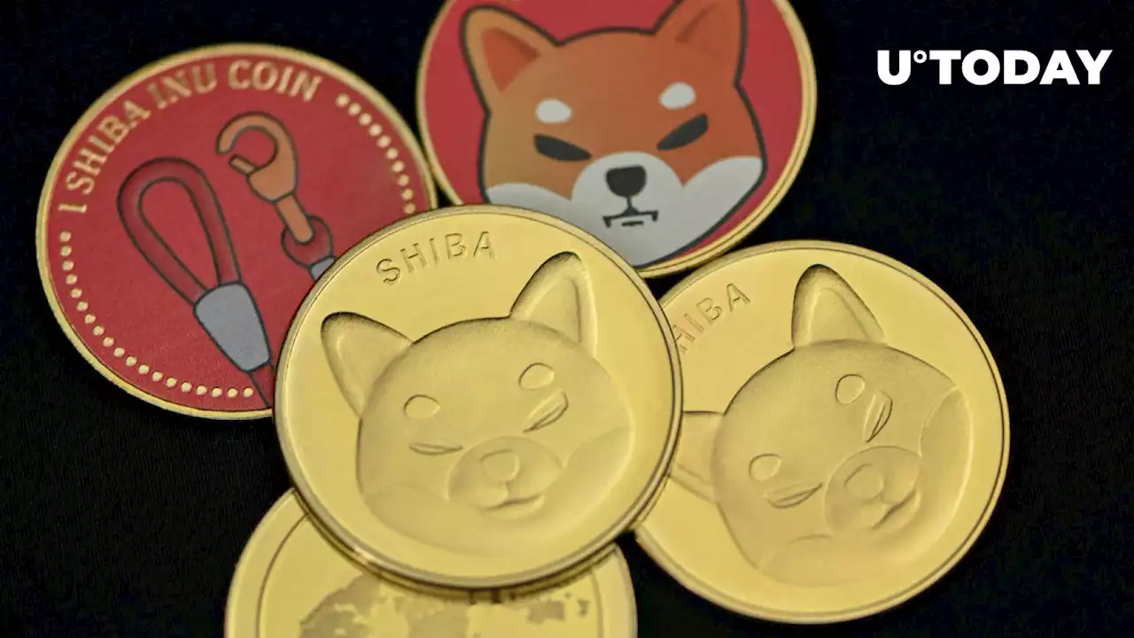 Shiba Inu Token LEASH Gets New Listing, Trading Volume Skyrockets 913%