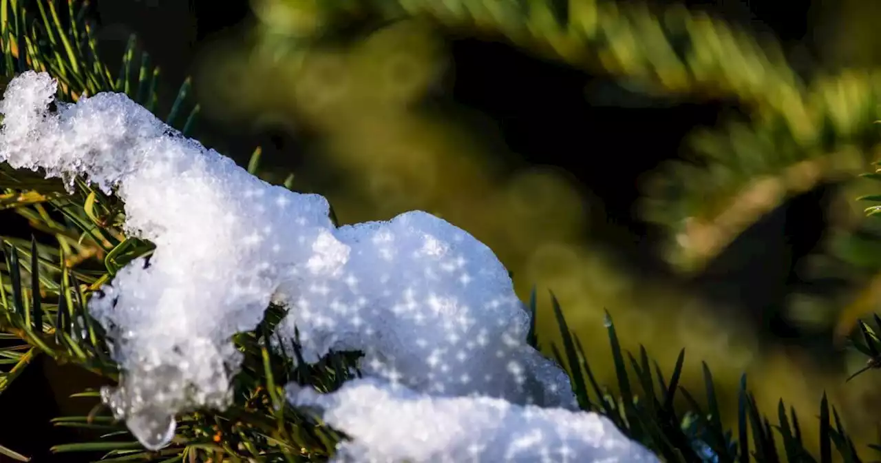 February could end up as one of the least snowy Februarys ever!