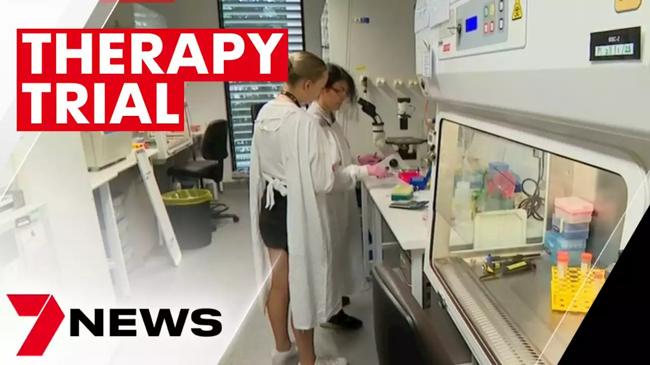 A step closer to a breakthrough in the treatment of childhood brain cancer | 7NEWS