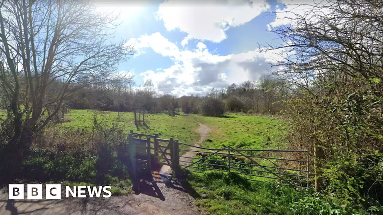 Exeter: Man arrested after woman dies in Ludwell Valley Park attack