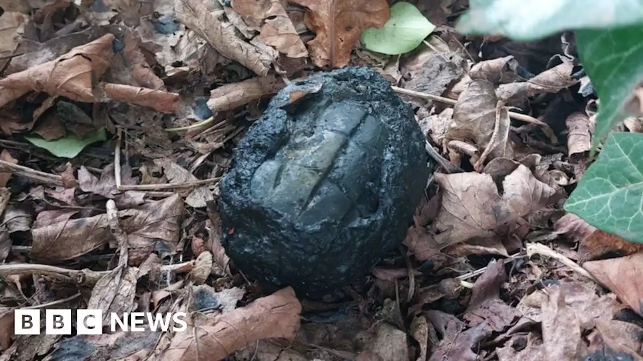 Lisburn: Suspected World War Two grenade made safe