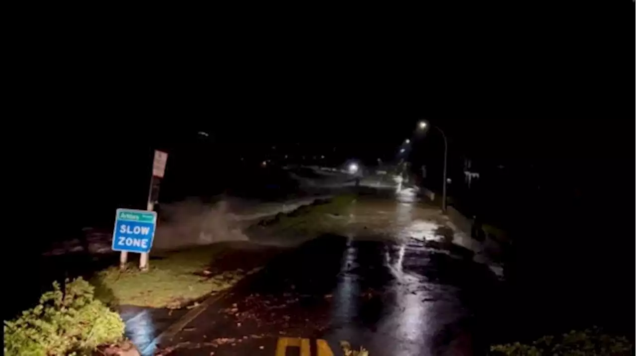 Cyclone death toll in New Zealand rises to 11 as recovery continues