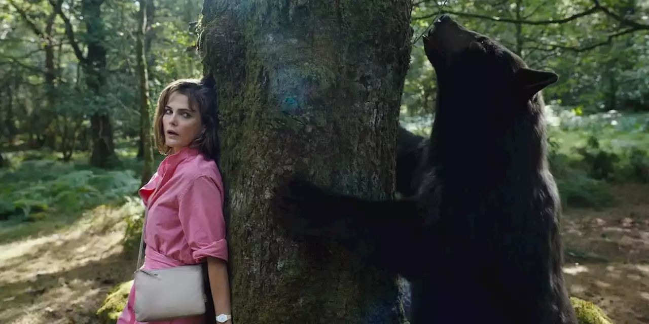 New 'Cocaine Bear' Clip Sees an Ambulance Chase Gone Wrong