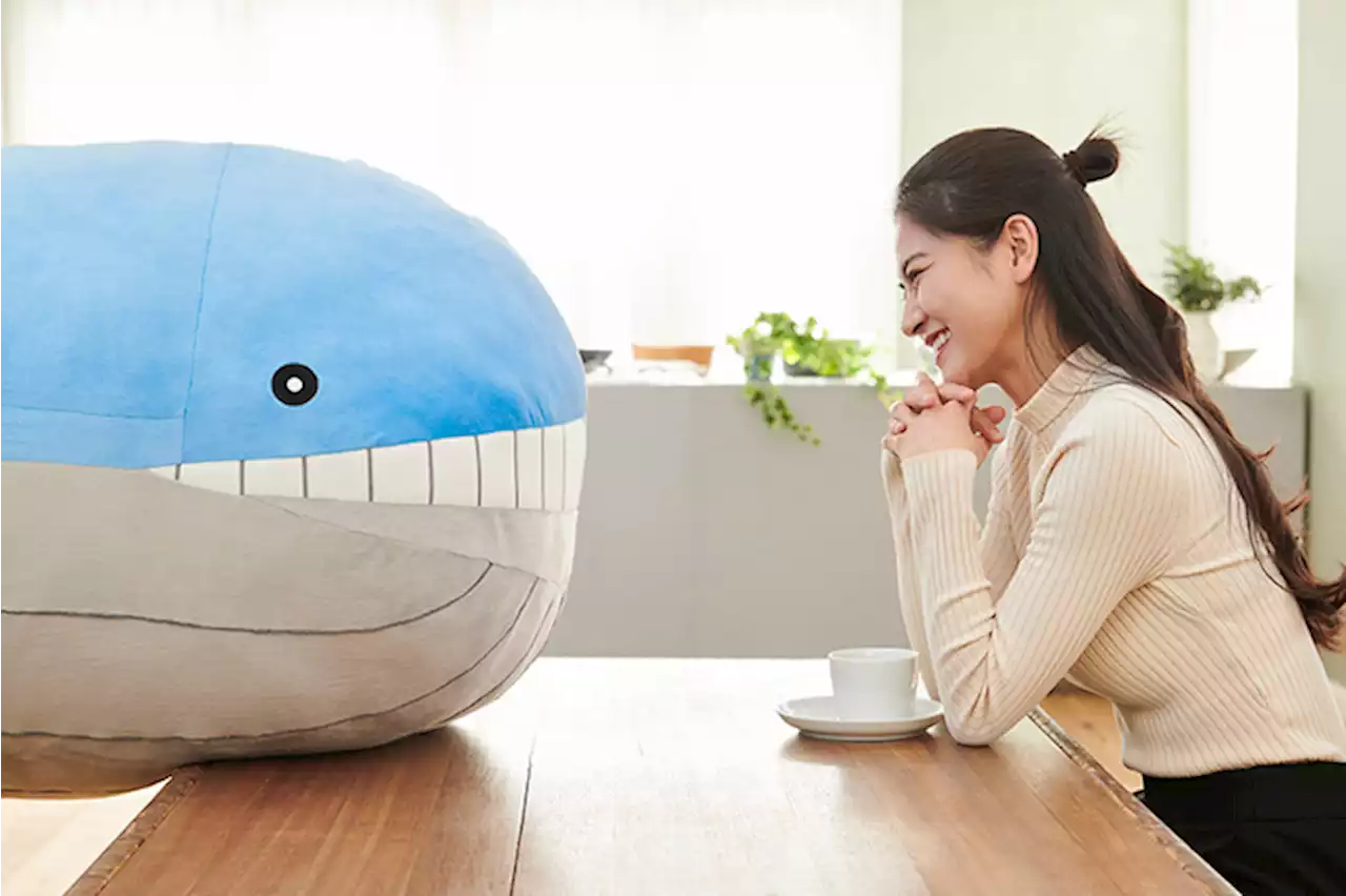 Pokemon's Massive Wailord Plush Is Hilariously Humongous