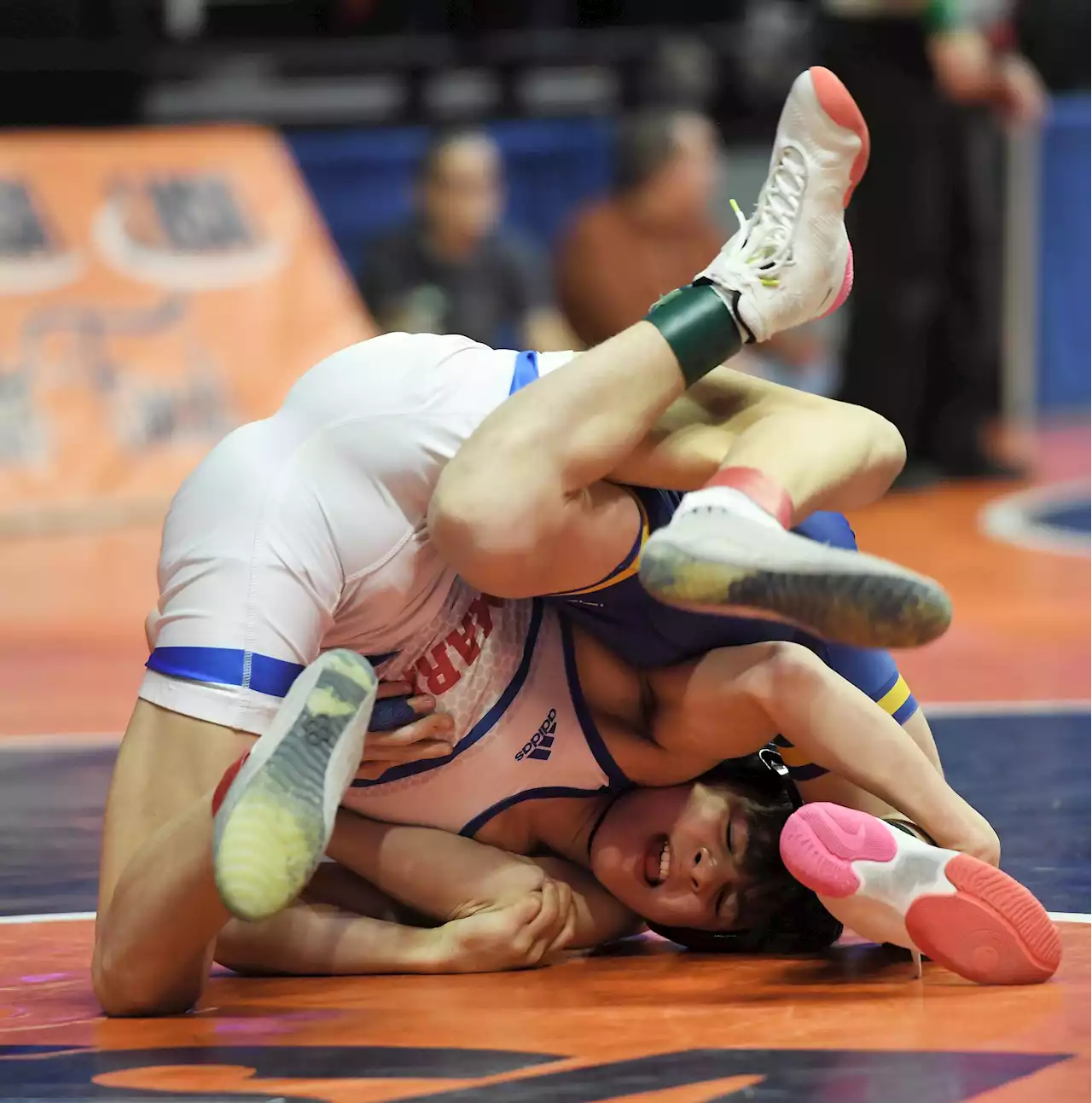 IMAGES: IHSA boys state individual wrestling meet