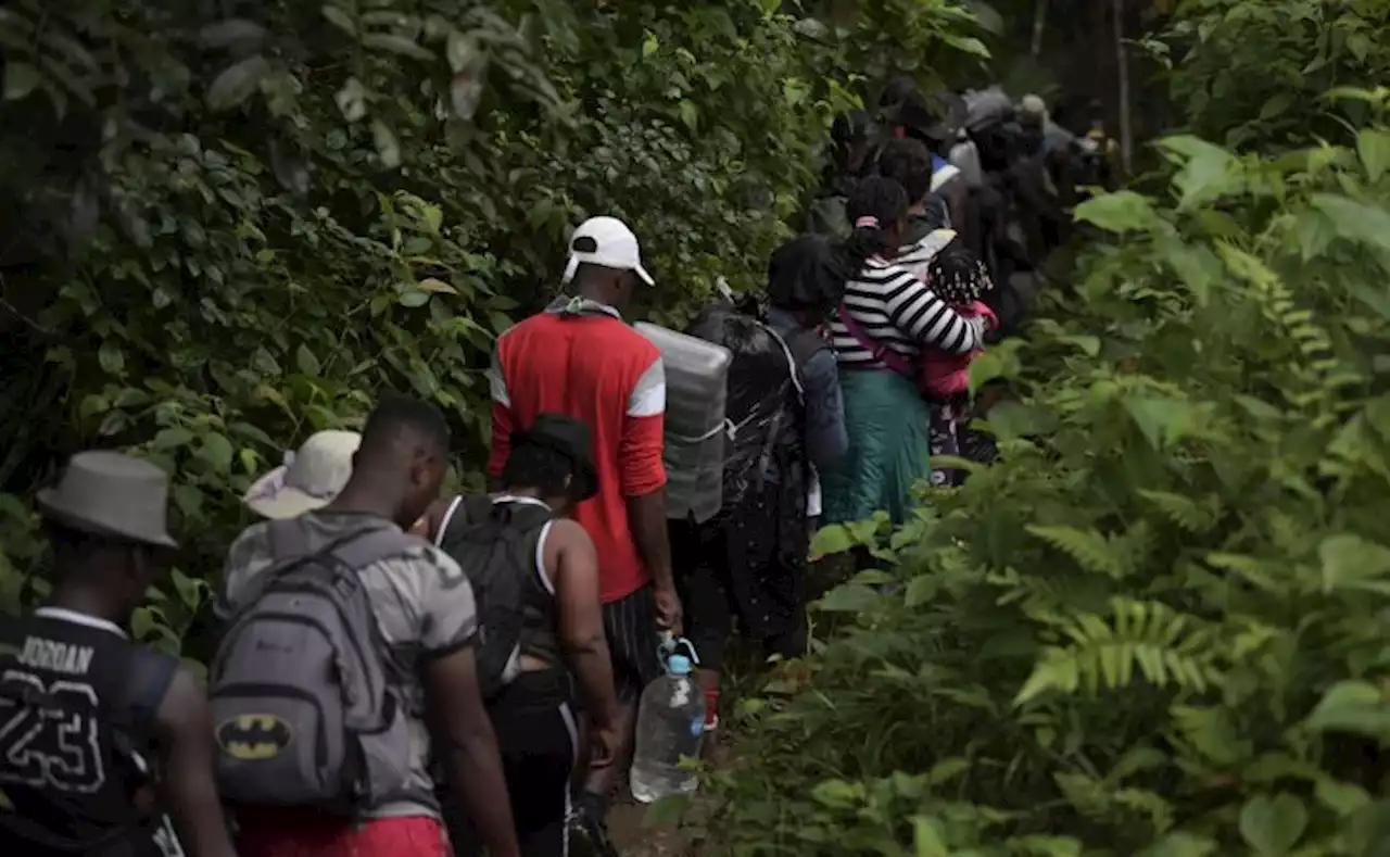 Procuraduría reveló informe sobre migrantes en Cúcuta y Darién