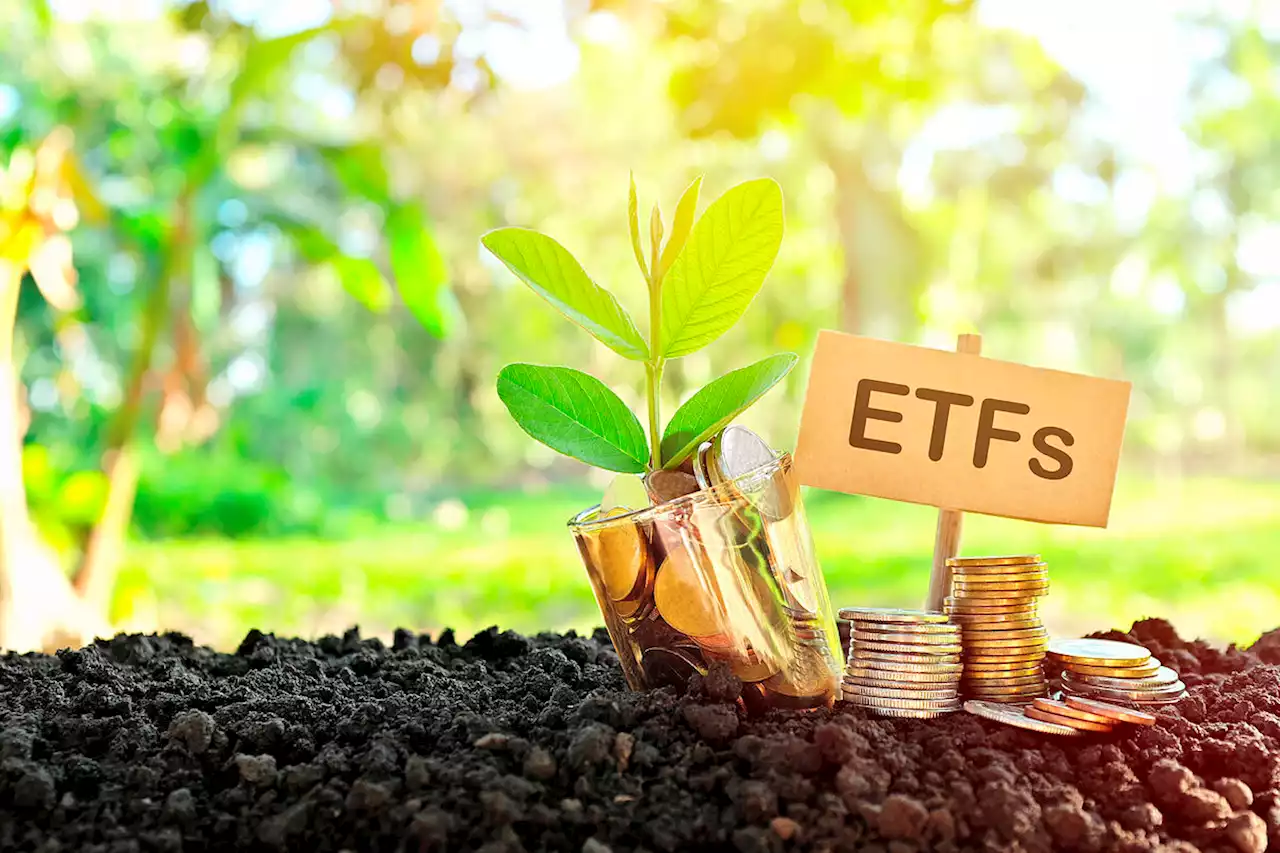 Los inversores, atraídos por los ETF 'verdes'