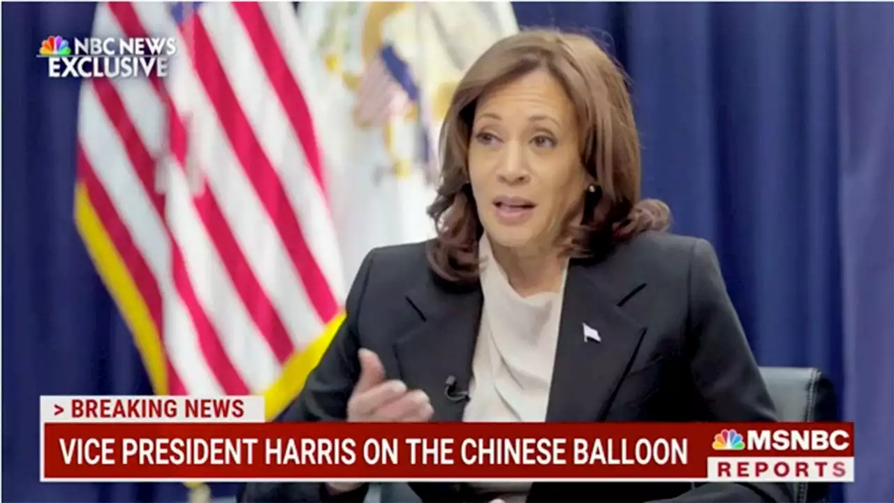 Kamala Harris dismisses unpopularity among Democrats ahead of 2024: 'Political chatter'