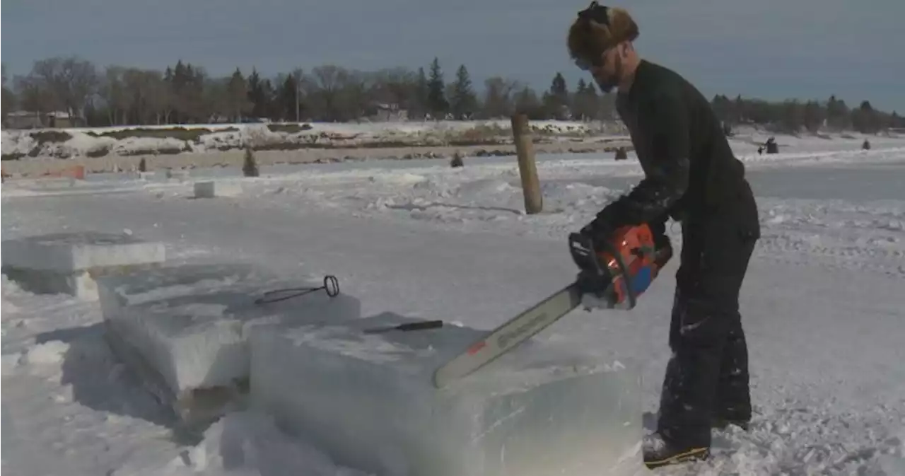 Winnipeg ice carver excited to display work after months of preparation - Winnipeg | Globalnews.ca