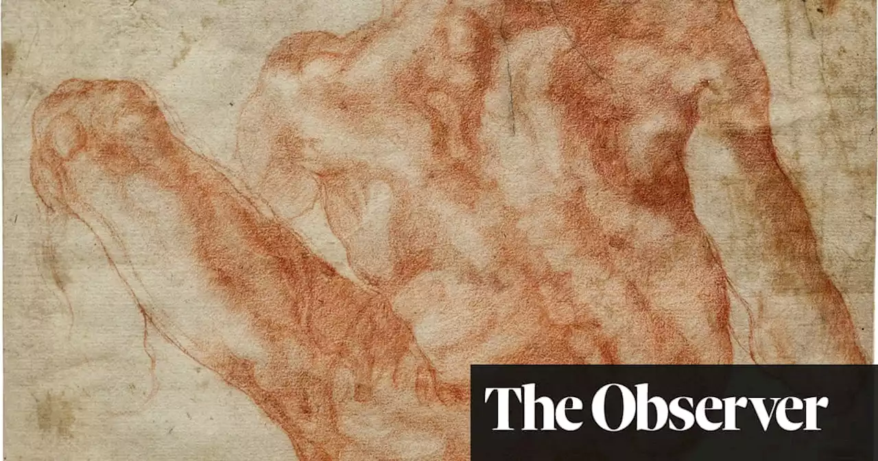 ‘When we rotated it 90 degrees it was obvious’: mystery sketch is rare Michelangelo draft for Sistine Chapel