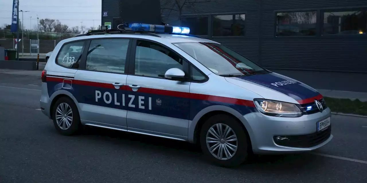 Mann schlägt auf Freundin ein und attackiert Polizisten