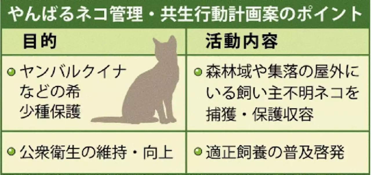 沖縄北部の屋外にいるネコ、10年間でゼロへ 見つけたら全て捕獲 世界自然遺産の希少種を保護 - トピックス｜Infoseekニュース