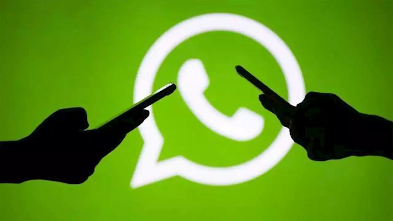 ¿Creés te hackearon WhatsApp?: esto es lo que tenés que hacer