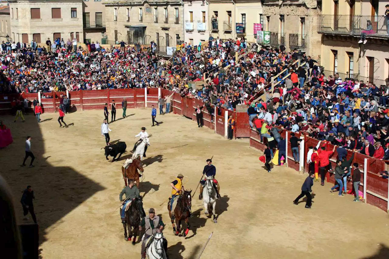 Un joven de Cuéllar de 26 años muy grave tras recibir dos cornadas en el encierro de Ciudad Rodrigo