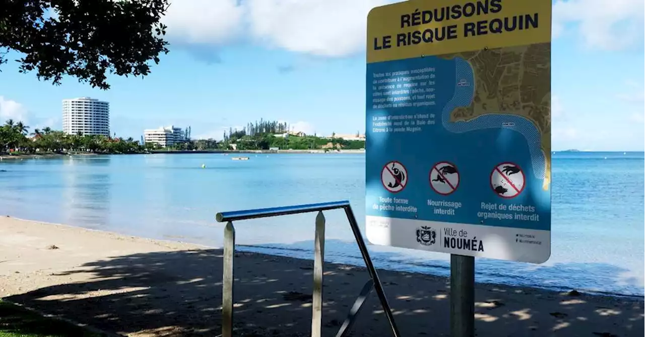 Nouvelle-Calédonie : attaque mortelle de requin à Nouméa