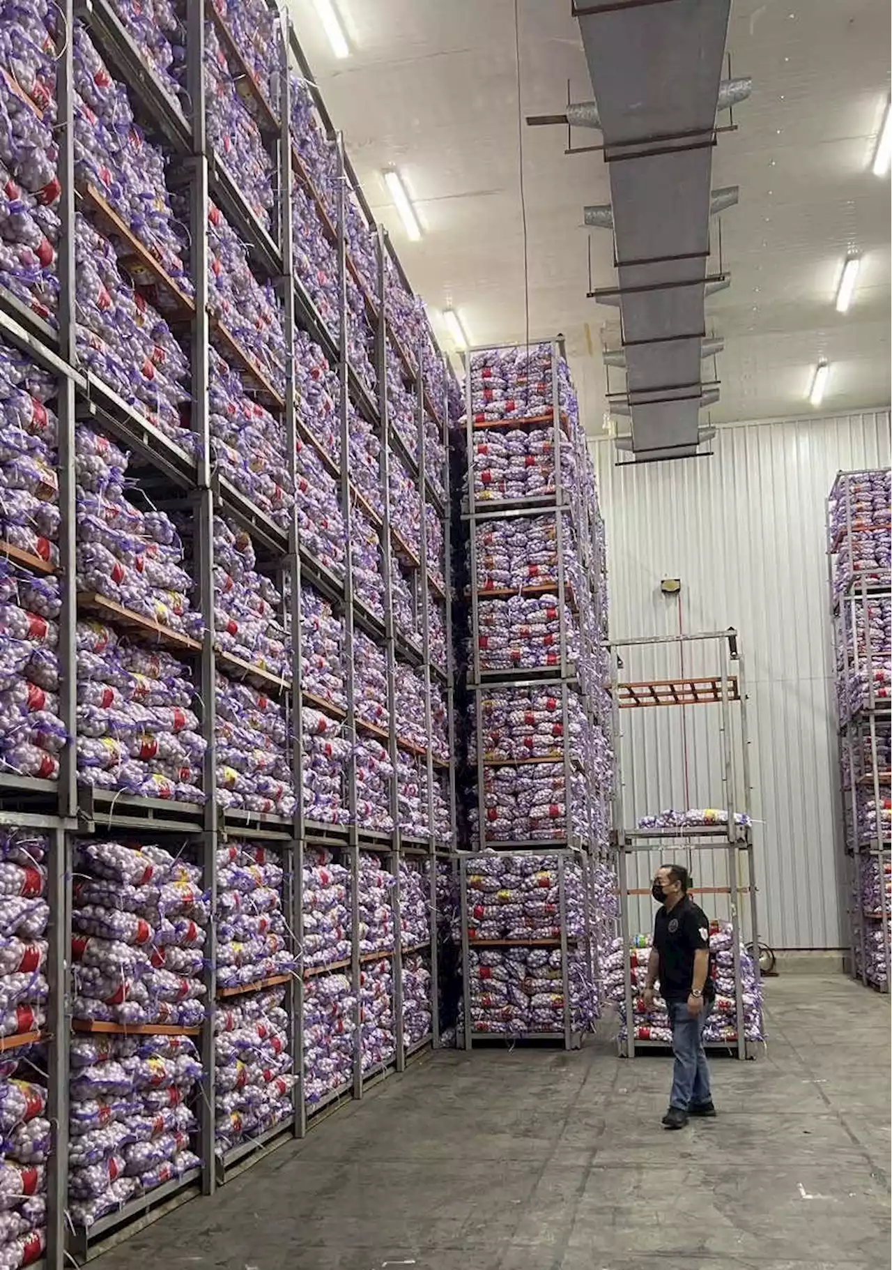 BOC raids in 24 Manila, Malabon warehouses yield P150M worth of 'smuggled' onions, garlic