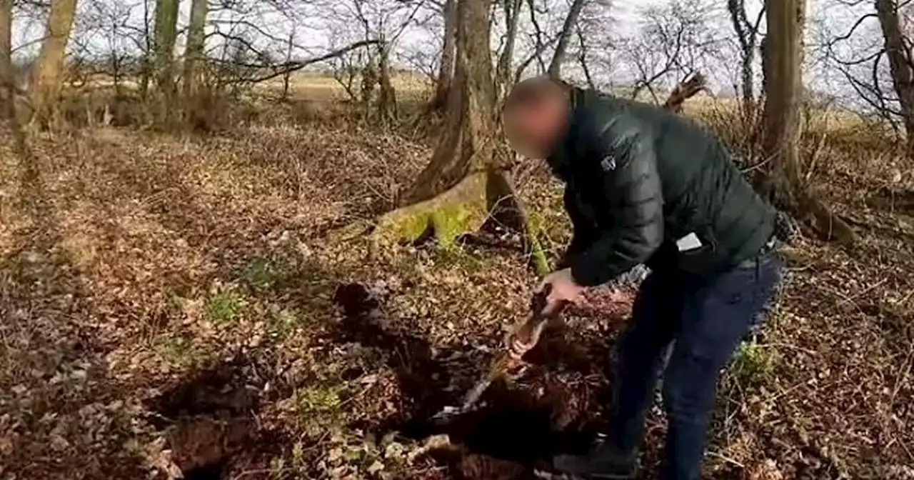 TikTok sleuths slammed for digging nearby to where Nicola Bulley went missing