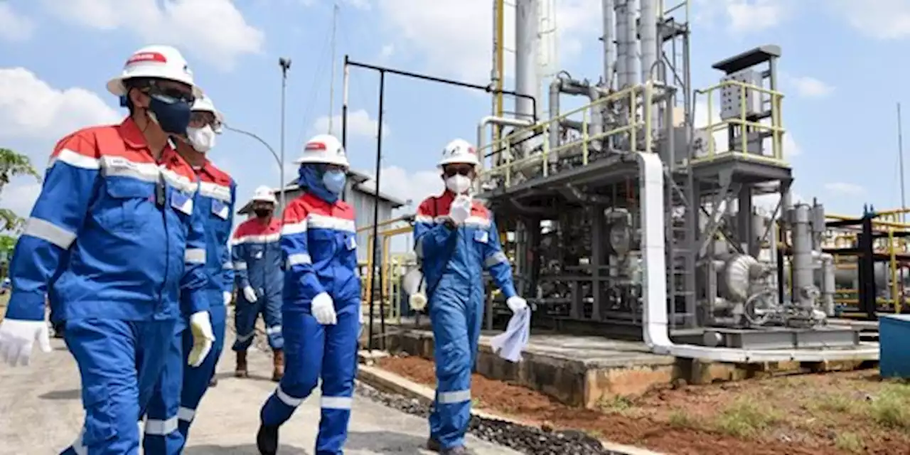 IPO Pertamina Geothermal Dipastikan Tak Salahi Undang-Undang | merdeka.com