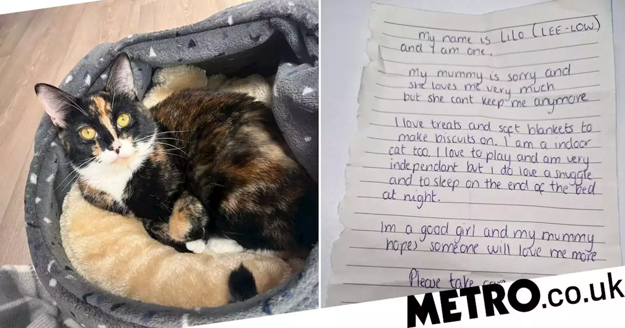 Cat found abandoned with heartbreaking note from ‘sorry’ owner