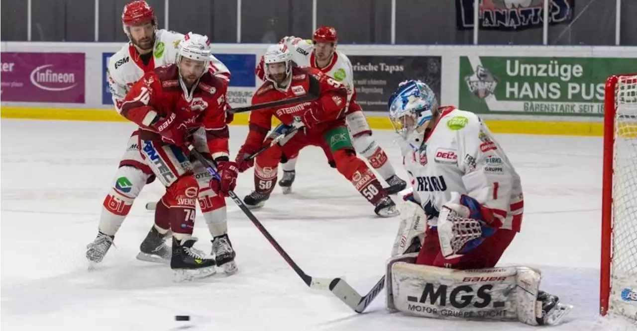 Regensburger Eisbären ringen die Selber Wölfe nieder