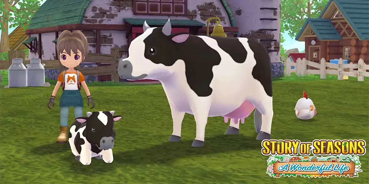 Story of Seasons: A Wonderful Life – Remake des GameCube-Titels entsteht unter anderem wegen Fanliebe - ntower - Dein Nintendo-Onlinemagazin