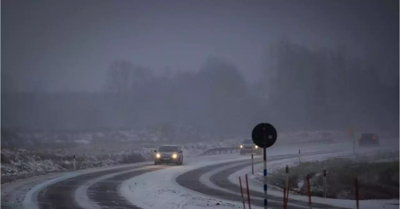 Veckans väder: Lovande lov-start nästa helg