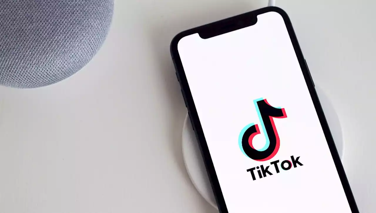 Los diez perfiles en catalán que lo petan en TikTok