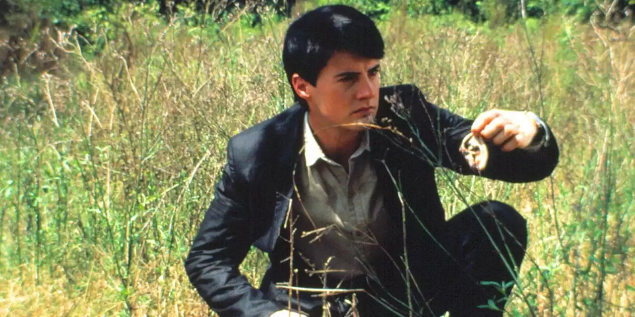 Blue Velvet: Whose Severed Ear Did Jeffrey Find?