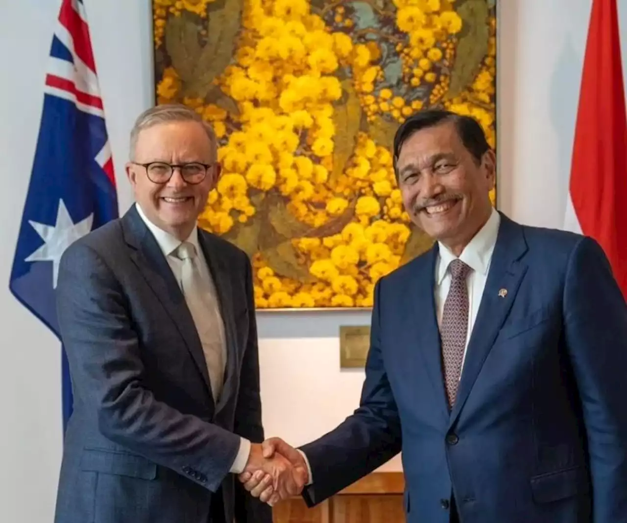 Arti Banana Republic yang Disebut Luhut di Australia