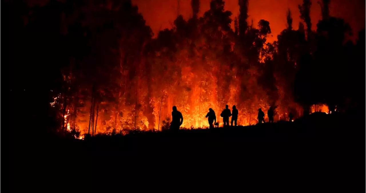 Incendios forestales no dan respiro a Chile y varios focos se reactivan en el sur