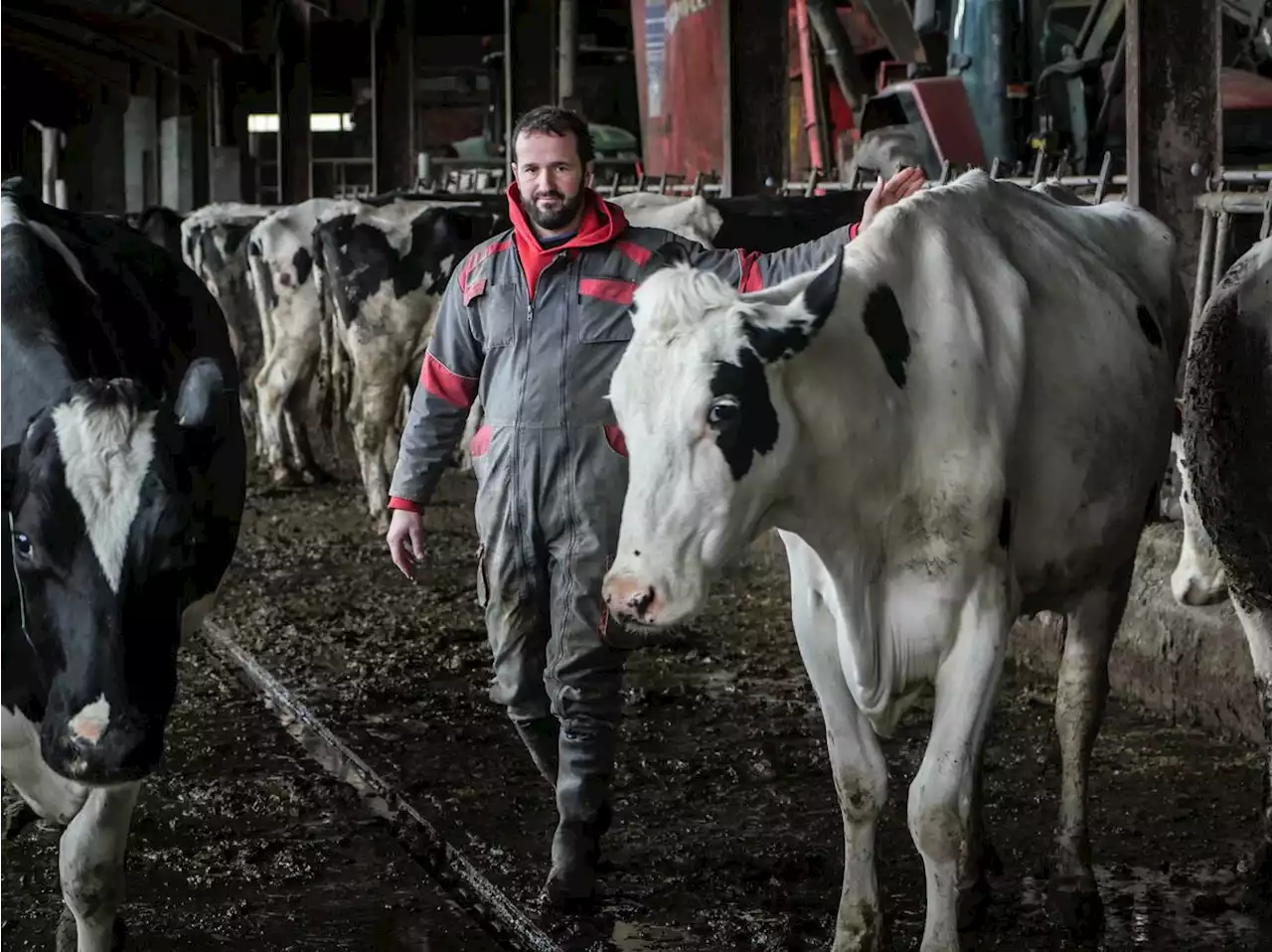 Dans le Pays basque, cet éleveur de laitières a misé avant les autres sur la ferme bas carbone