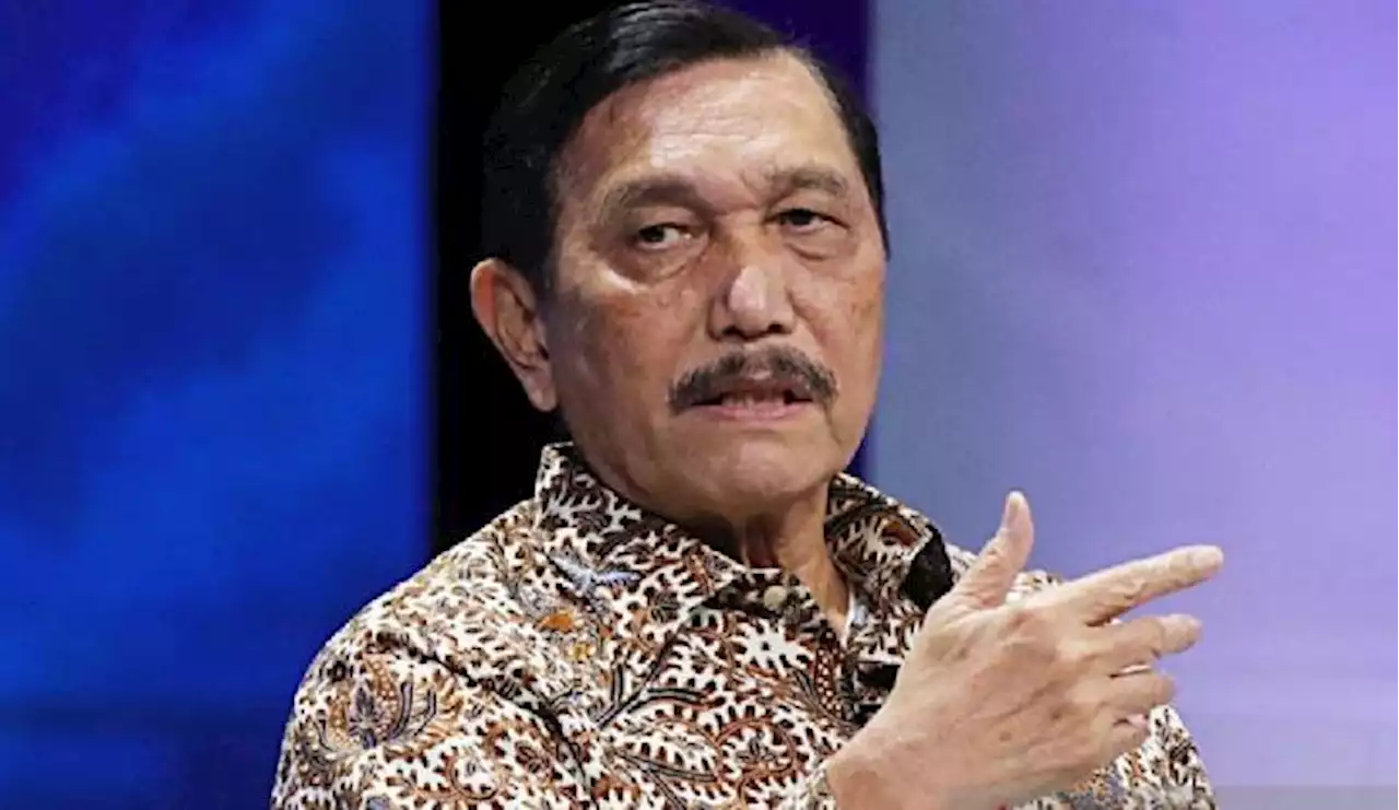 Undang Peneliti Australia ke Indonesia, Luhut Pamer Perkembangan Hilirisasi Industri