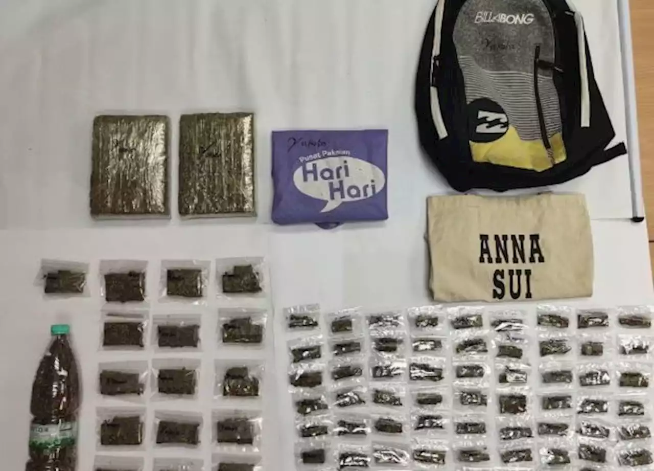 Dua pengedar ditahan bersama 3kg ganja