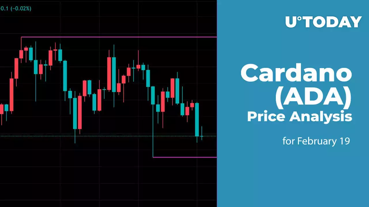 Cardano (ADA) Price Analysis for February 19