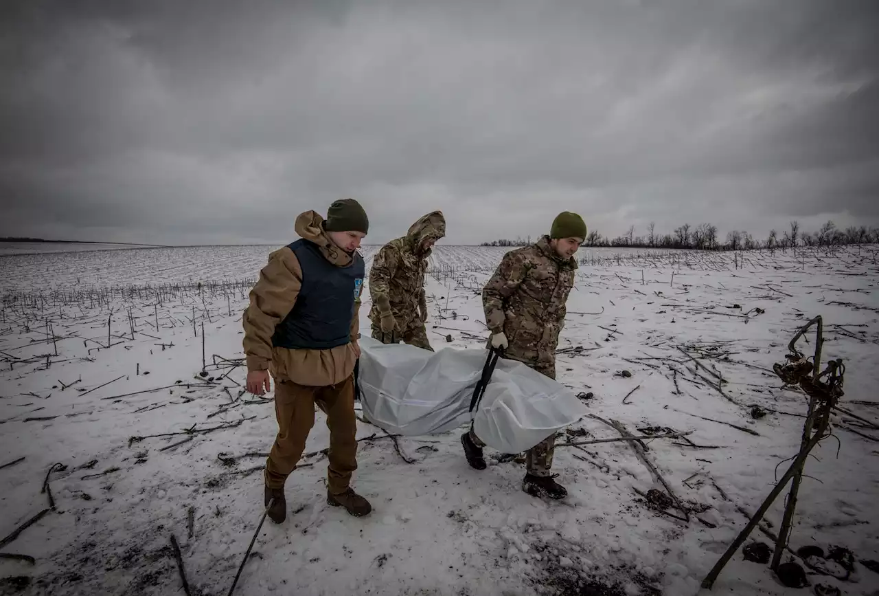 Soldaten og solsikkene