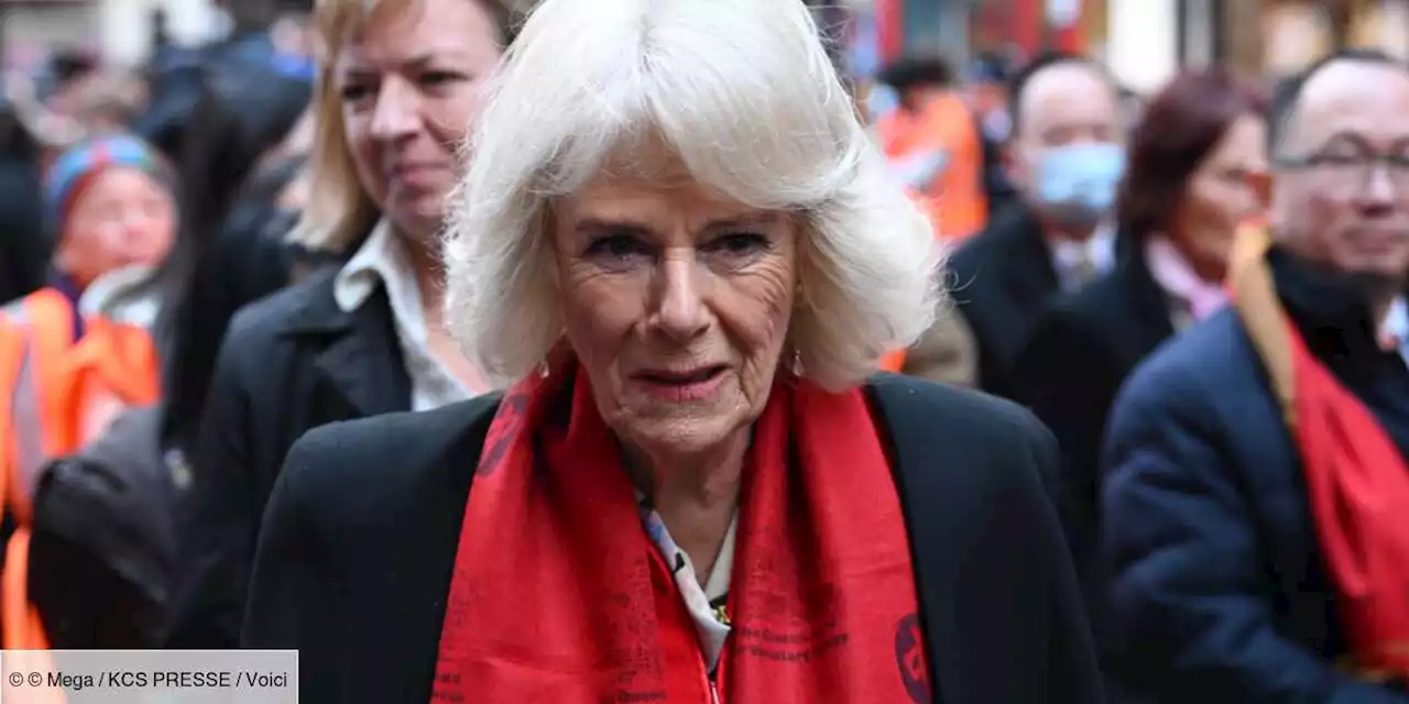 Camilla Parker Bowles : ce système secret que la reine consort a mis au point pour communiquer avec Charles - Voici