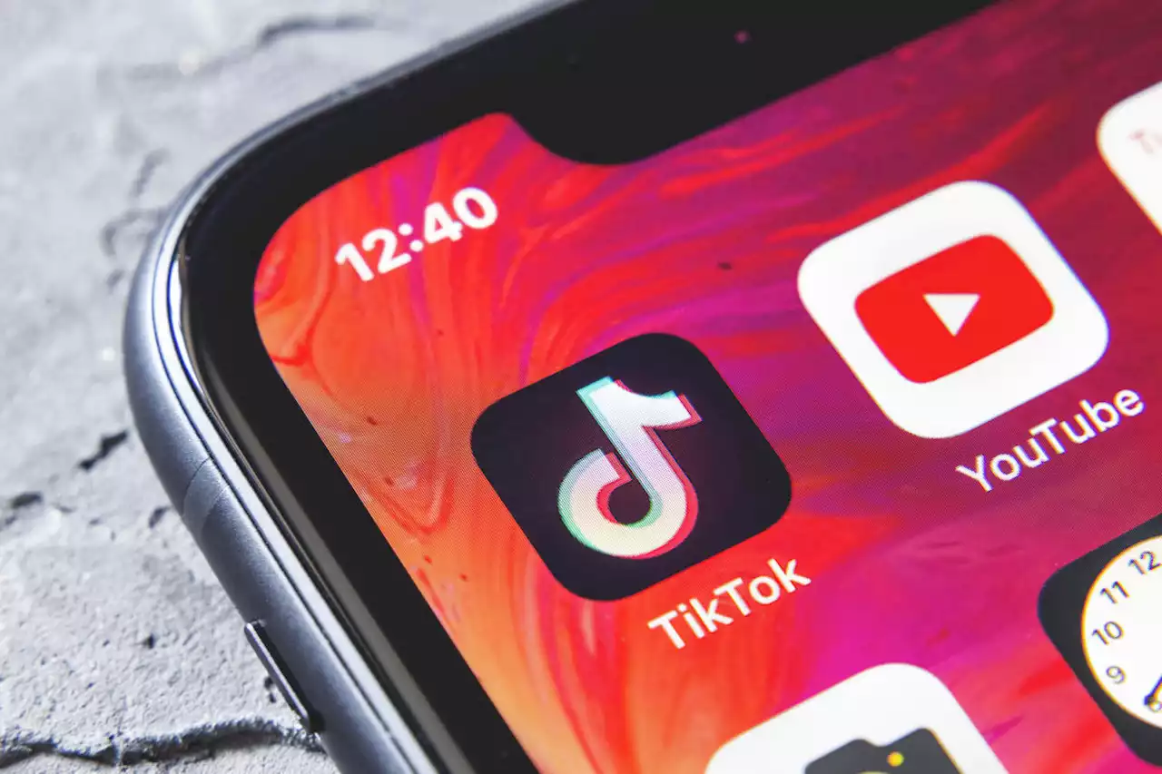 They Lost Their Jobs, Then Went Viral on TikTok