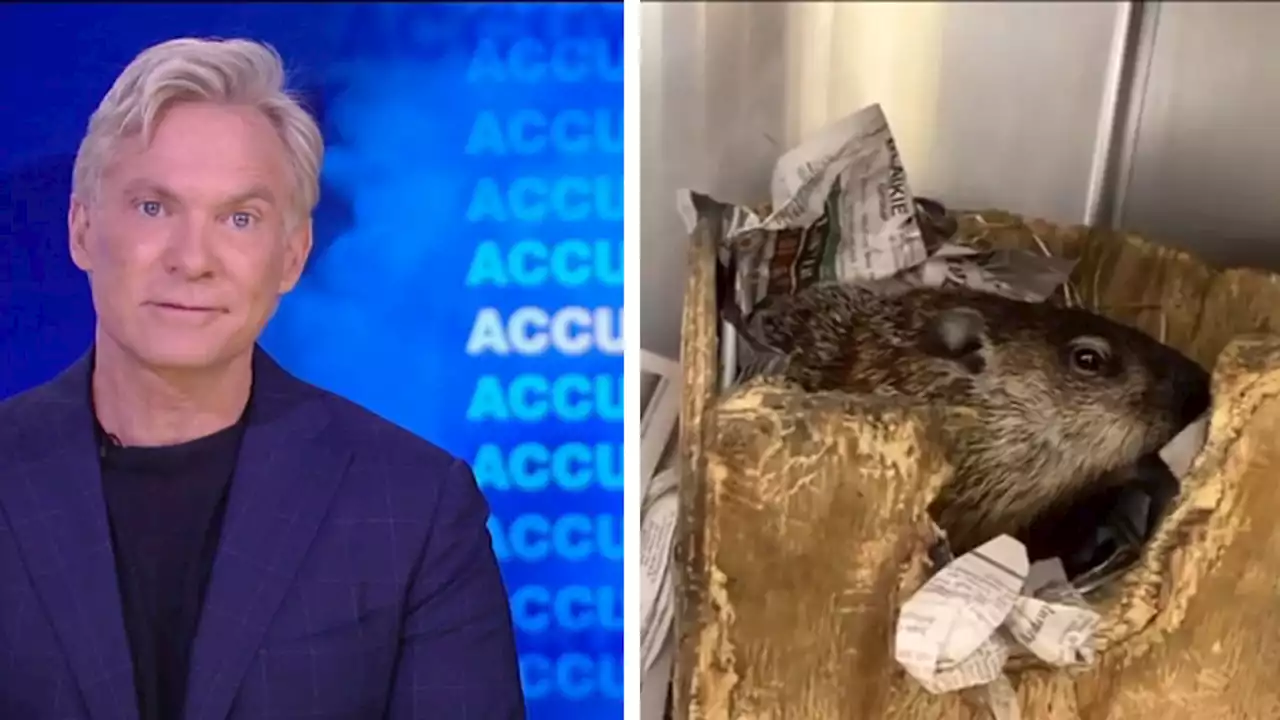 Sam Champion interviews Sam Champion the groundhog