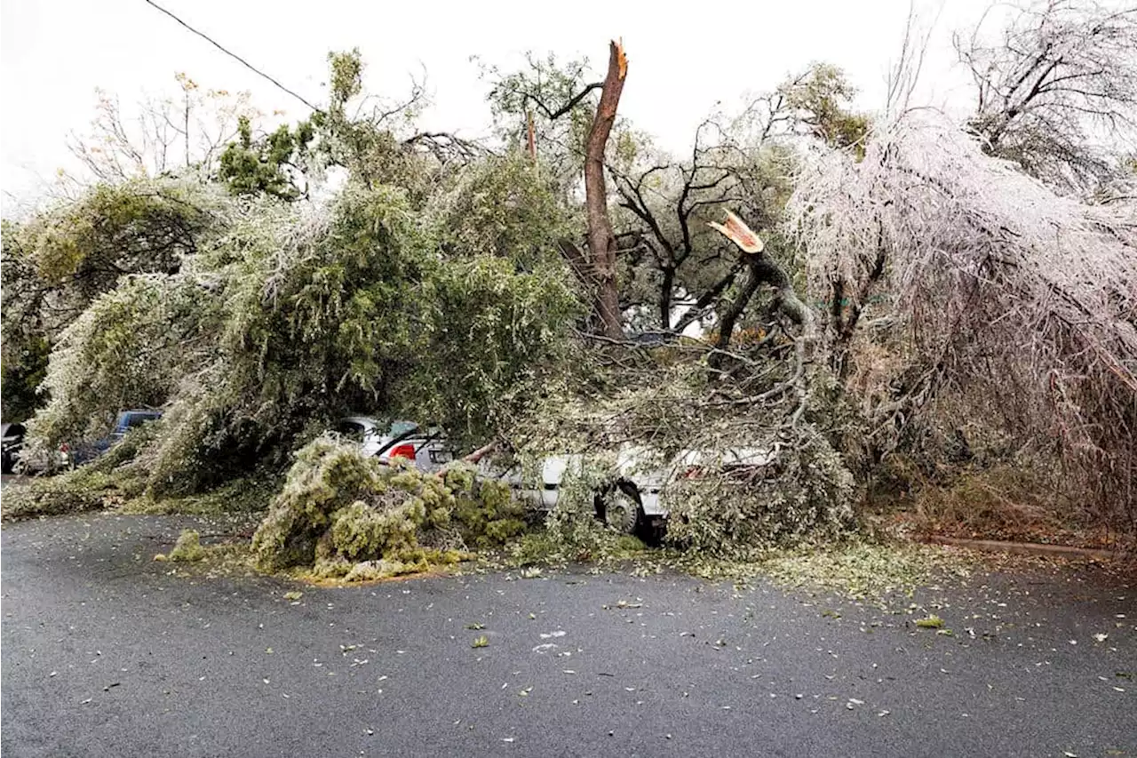 Ice Downs Tree Limbs and Power Lines, Tens of Thousands Without Power