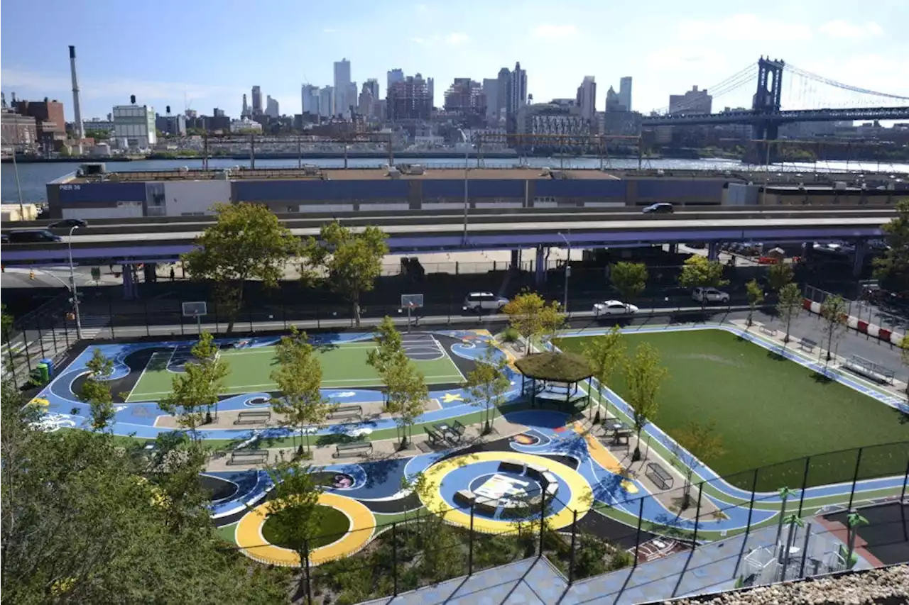 Greener School Playgrounds Are An Overlooked Climate Solution