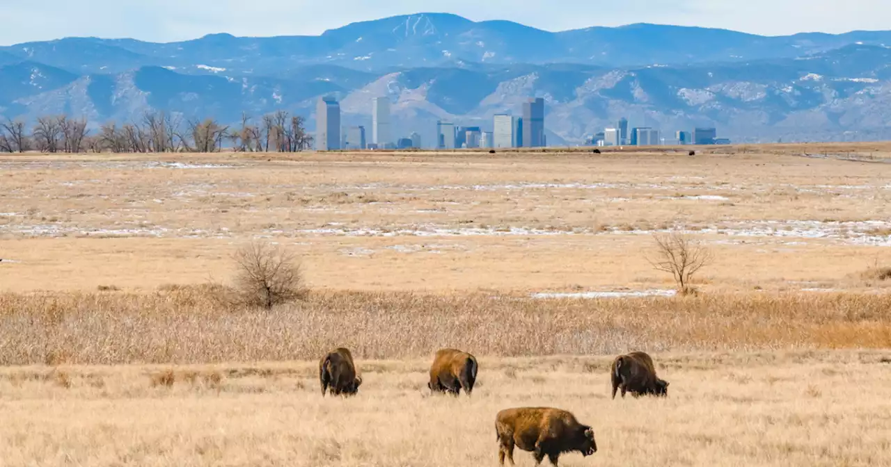 What does a typical February in Denver look like? An in-depth statistical preview of Colorado weather