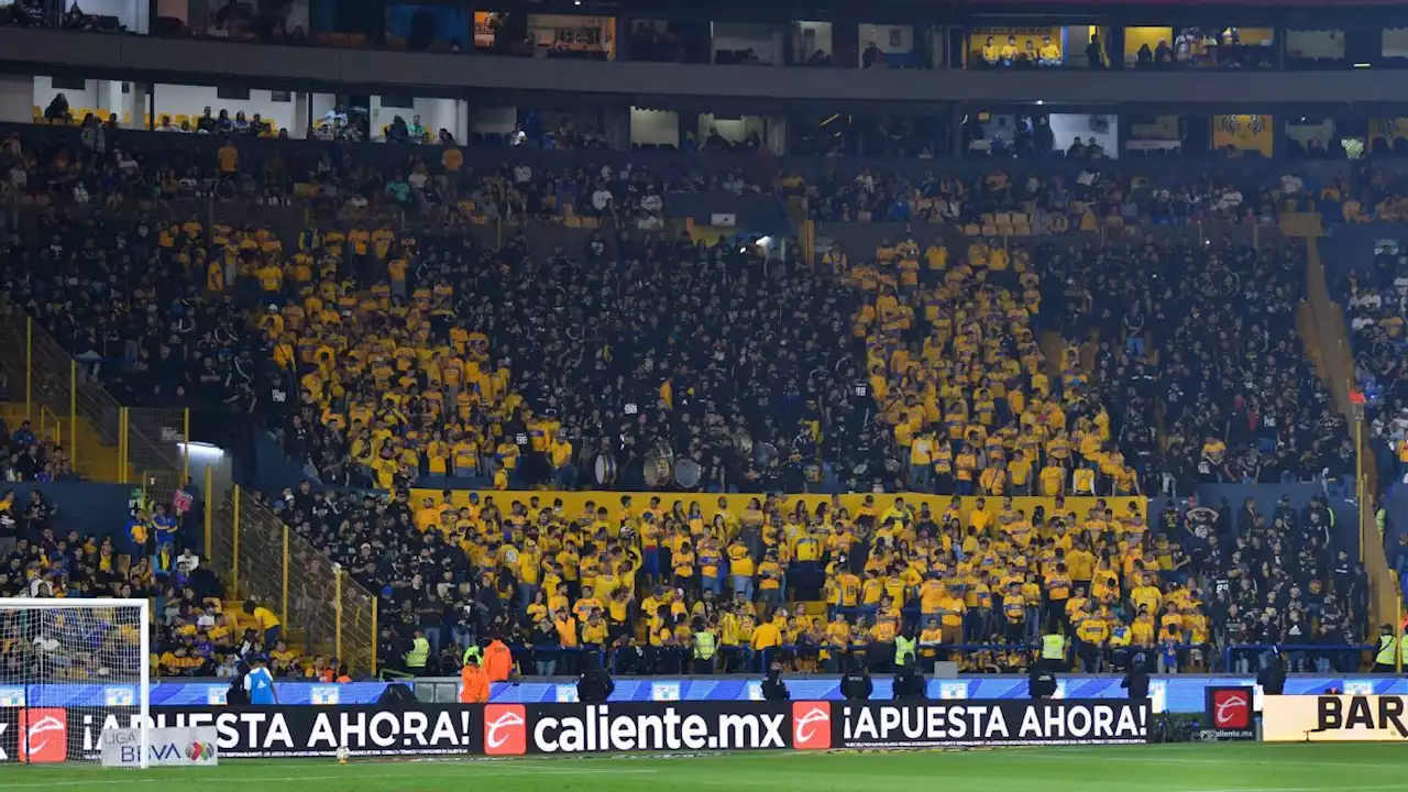 Tigres: Samuel García asegura que se inició construcción de nuevo estadio