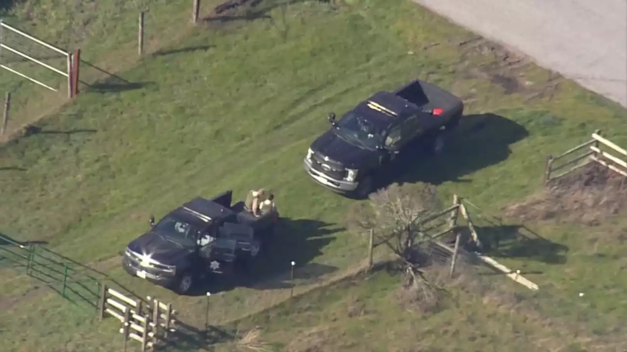 Boy ‘Viciously Attacked' by Mountain Lion in San Mateo County