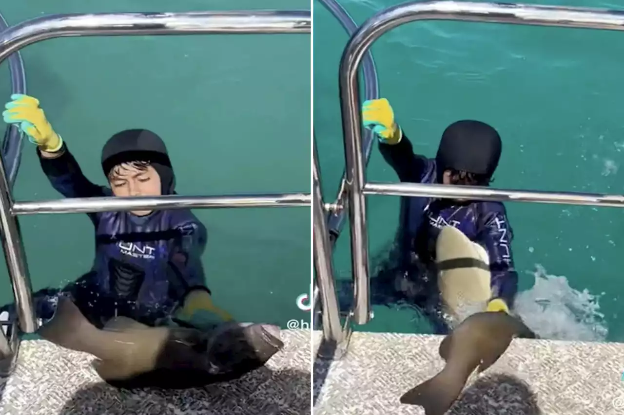 8-year-old spearfisherman brushes off shark bite in Australia after he catches fish