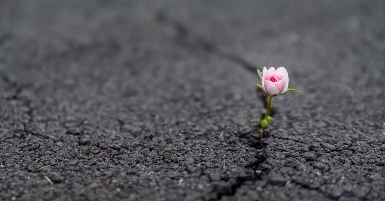 7 Ways Mentally Strong People Bounce Back From Failure