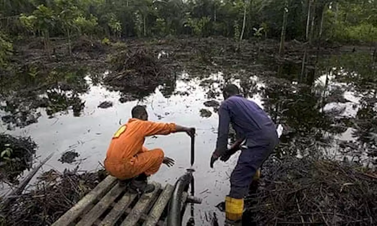 Amnesty International Backs Over 13,500 Residents Of Nigerian Communities Demanding Clean-Up Of Shell Oil Spillage | Sahara Reporters