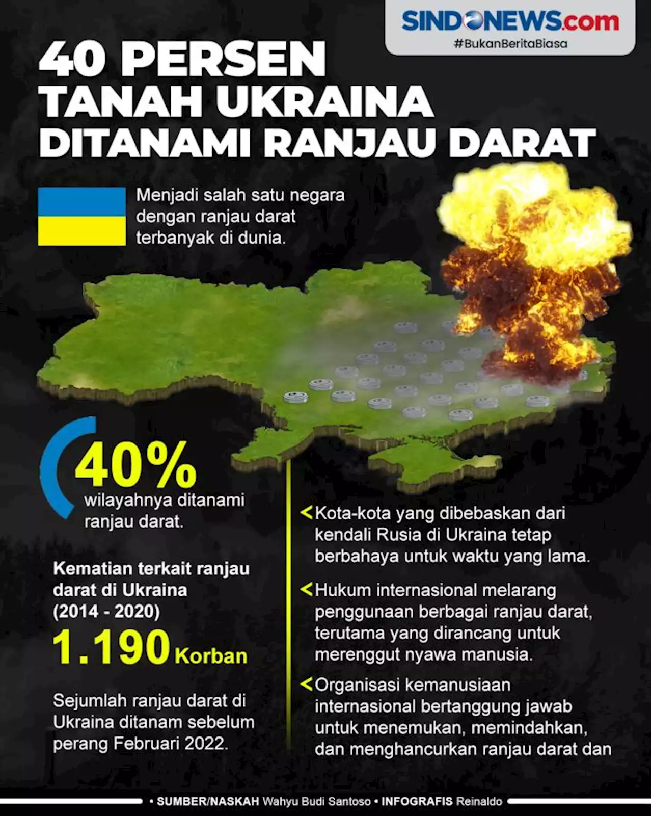 40 Persen Tanah Ukraina Ditanami Ranjau Darat