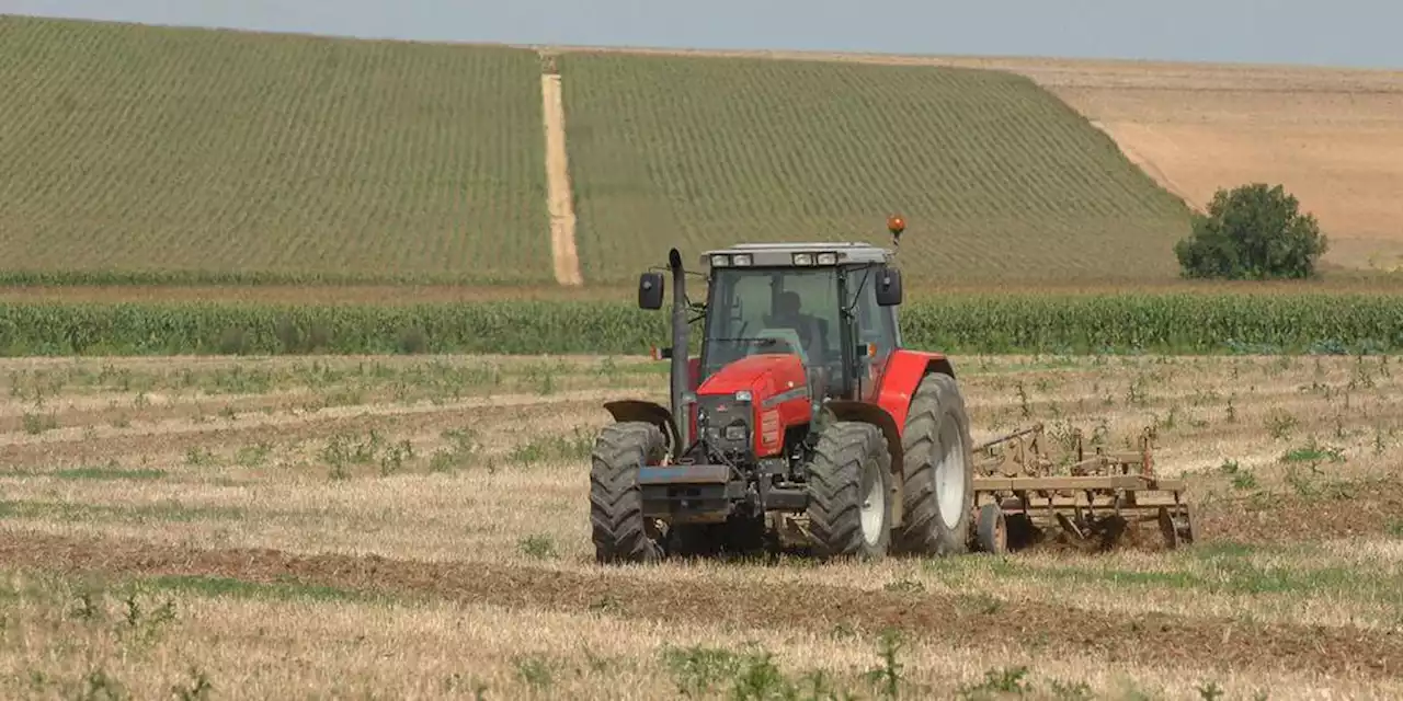 Retraites : le Parlement vote un relèvement des pensions des agriculteurs non-salariés